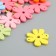 Connector for creativity wood 2 ears "Flower. Summer colors" set 20 pcs 2.3x2.4x0.3 cm
