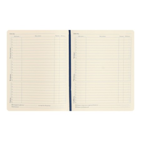 Diary Artificial leather 1-11 grade, 48 sheets, cage, hard cover, Schoolmix. Warning, rounded angles, block 70g/m²-6