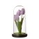 Nightlight "Tulips" LED 3HAAA Lilac 10.5x10.5x22cm