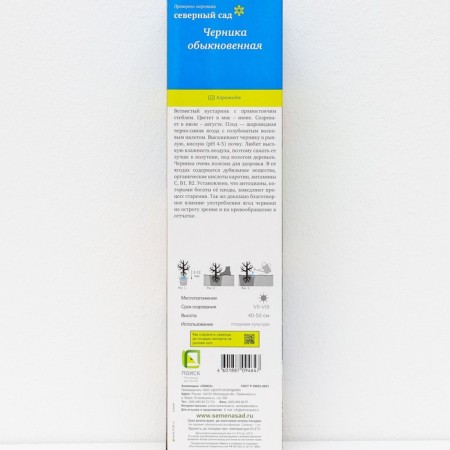 Common blueberries (series North Garden), 1 pc, tube, spring 2025-2