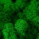 Kashpo concrete "heart" height 6.5 cm red with moss (moss green stabilized)