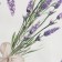 Ethel towel Lavender (View 2) 40x73 cm, 100% HL, sarzha 190 g/m2