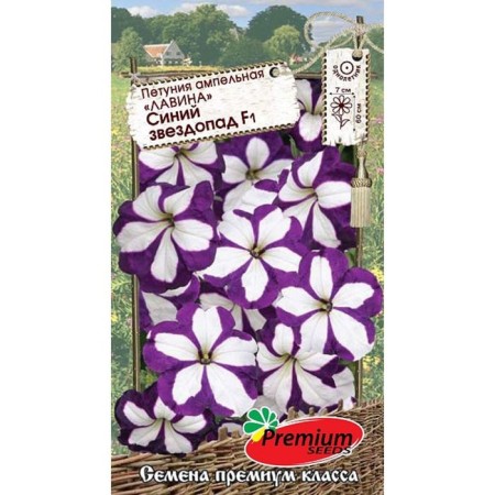 Flowers of Petunia Flowers ampel avalanche blue starfall F1, o, 10pcs-2