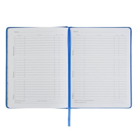 Universal diary for grades 1-11, 48 Velvet sheets, hard cover, artificial leather, thermoting, liesse, block 70 g/m2, bright blue-1