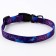 The My Space set, fastener - fastx, leash 2 m and collar 28-46 cm