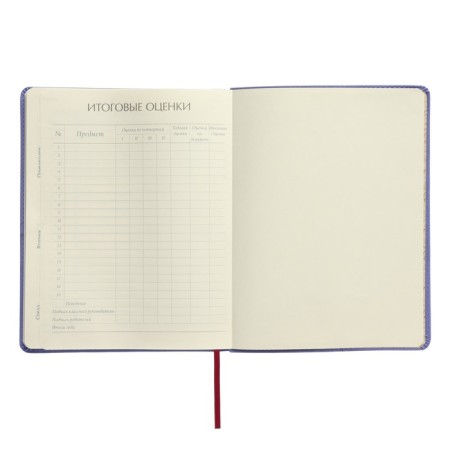 Universal diary for grades 1-11, 48 sheets, My Sweet. Donuts, covering artificial leather, lies, tinted block-8