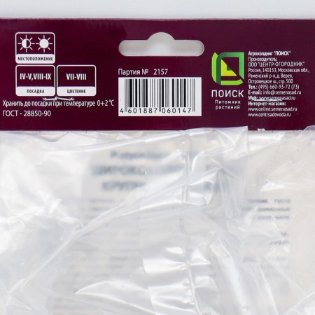 Large-flowered large-flowered “Fuji White”, 1 pc, rr I, spring 2025-1