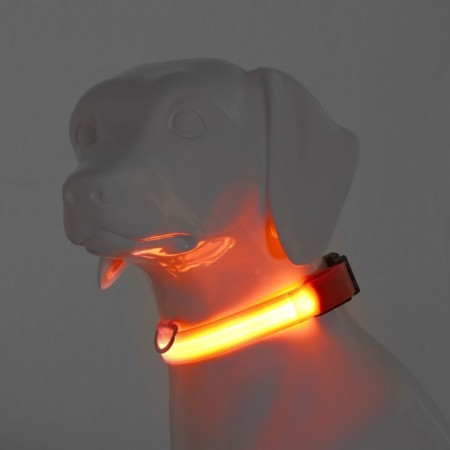 Collar with backlight size XL, Osh 52-60 x 2.5 cm, 3 glow modes Orange-1