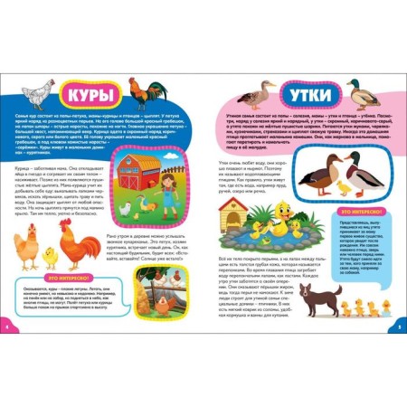 Birds for kids-1