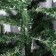 Artificial Christmas tree "Taiga elite snow -white" (with cones) 220 cm