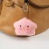 Fluffy on the ring "Star pig" Pushchak 8x11x2.5 cm