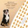 Titbit treat for dogs, cracker with duck meat 1.1 kg