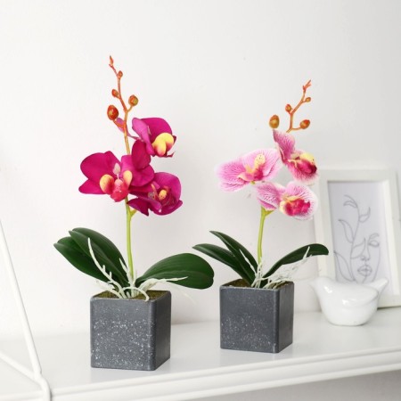 The composition in the pot "Orchid" 6x23 cm, mix-2