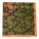 Women's scarf minku rr 70*70 cm, col. orange