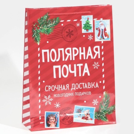 Packet Laminated Vertical Polar Mail, L 28 x 38 x 9 cm, New Year-2