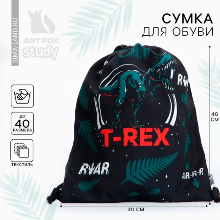 Bag for shoes t-Rex Textile, size 30 x 40 cm