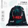 Bag for shoes t-Rex Textile, size 30 x 40 cm