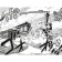 One Piece. Большой куш. Книга 12. Уотер-Севен, Горо-на Воде. Ода Э.