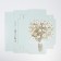 Gift folding box, packaging, "chamomile", 21 x 15 x 7 cm