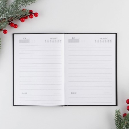 New Year. Classic diary "Best of the best", 7BC A5, 80 sheets-1