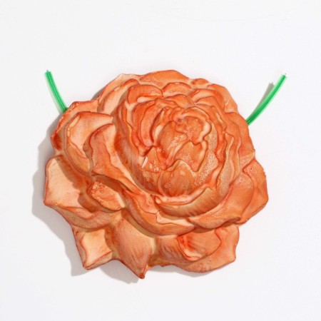 Mineral stone "Pigger" for birds, peony, 45 g-2