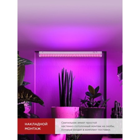 LED LED phytosvetnel, 10 watts, 230 b, 570 mm, SPb-T5-Fito-5