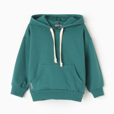 Sweatshirt for boys, launched, emerald color, height 116 cm