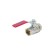 Balloon Aquasfera Euro 1001-08, 3 ", PN 12, internal thread, lever, brass, nickel
