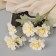Artificial flowers "Clove Caspar Galant" 58x7 cm, white