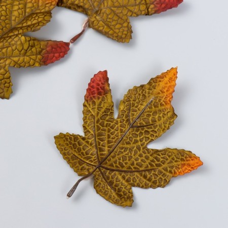 Decor for creativity "Maple leaf" set 4 pcs green 11.5x14 cm-1