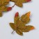 Decor for creativity "Maple leaf" set 4 pcs green 11.5x14 cm