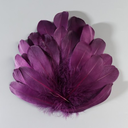A set of goose feathers 13-18 cm, 20 pcs, dark purple-1