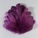 A set of goose feathers 13-18 cm, 20 pcs, dark purple