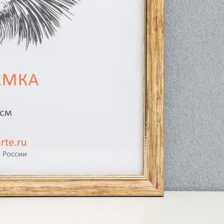 Photo frame plastic 25x35 cm, beige (plastic screen)-1
