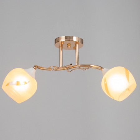Ceiling chandelier Nicole 2he27 40W gold-1