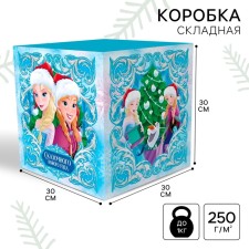 Gift Folder Fairy Tale New Year, 30x30x30 cm, cold heart