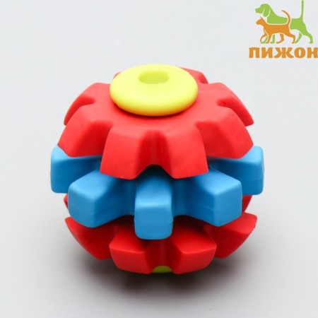 Chewing toy "bumps of fate", tpr, 7 cm, yellow/red/blue