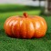 Figure "Pumpkin" 18x18x9cm