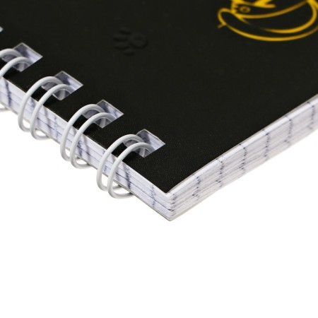 Notebook of 48 sheets in a cage, on the crest "Magic Eyes", cover Cover Cardboard, matte lamination, 3D-fluid, block 65 g/m2, mix-2