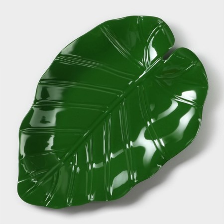 Serve dish "Liszt", 25 × 17 × 2 cm, green color-1