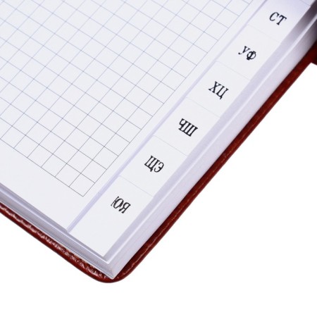 Diary+Telephone Book, UNDERSTANDED, PVC cover, A5 format, 140 sheets in a cage, with a stream, mix-5