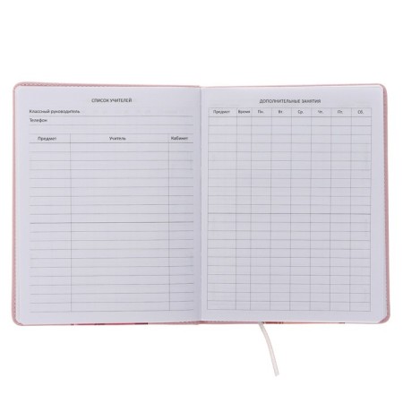 Universal grade 1-11 diary "Elegant I wear shortcomings", solid cover, artificial leather, lies, block 80 g/m2-3