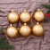 Set of balls plastic D-6 cm, 6 pcs "Lia Christmas trees" gold