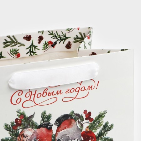 Gift package with a wide bottom "Bullfins", 20 x 14 x 13.2 cm, New Year-5