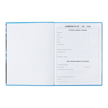 Universal diary for grades 1-11, "Bill Neon", solid cover 7BC, glossy lamination, 40 sheets-4