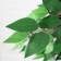 Artificial tree "Ficus" 160 cm