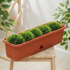 Balcony box with pallet 60 cm, terracotta color