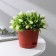 Pot for flowers with basal watering "Alliance", 1 l, d = 13 cm, h = 12 cm, color terracotta