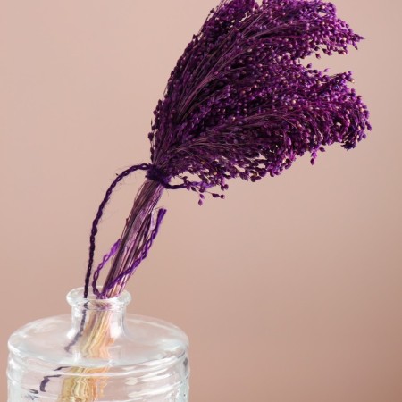 Set of dried flowers "millet", banch length 45 (+/- 6 cm), purple-1