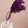 Set of dried flowers "millet", banch length 45 (+/- 6 cm), purple